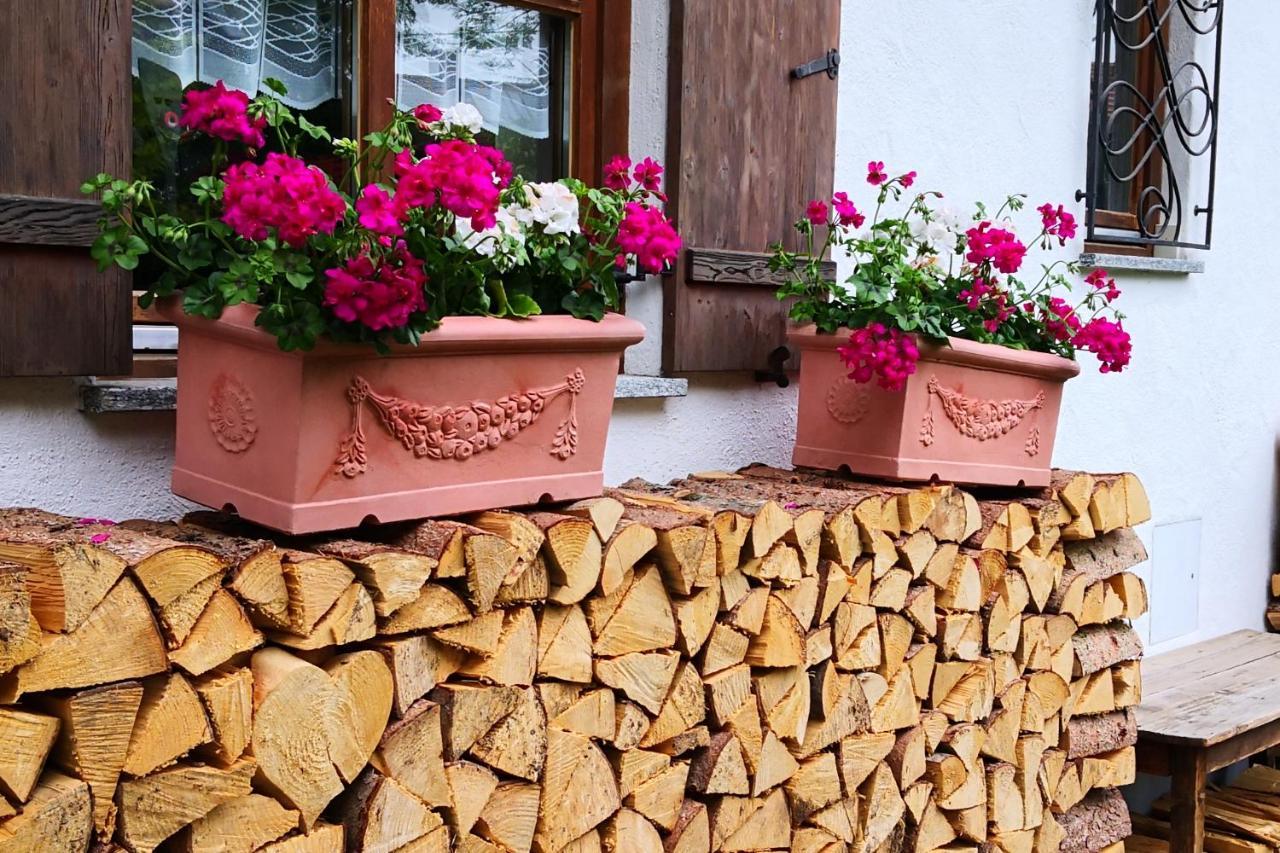 Ferienwohnung Haus Bullachberg Schwangau Exterior foto